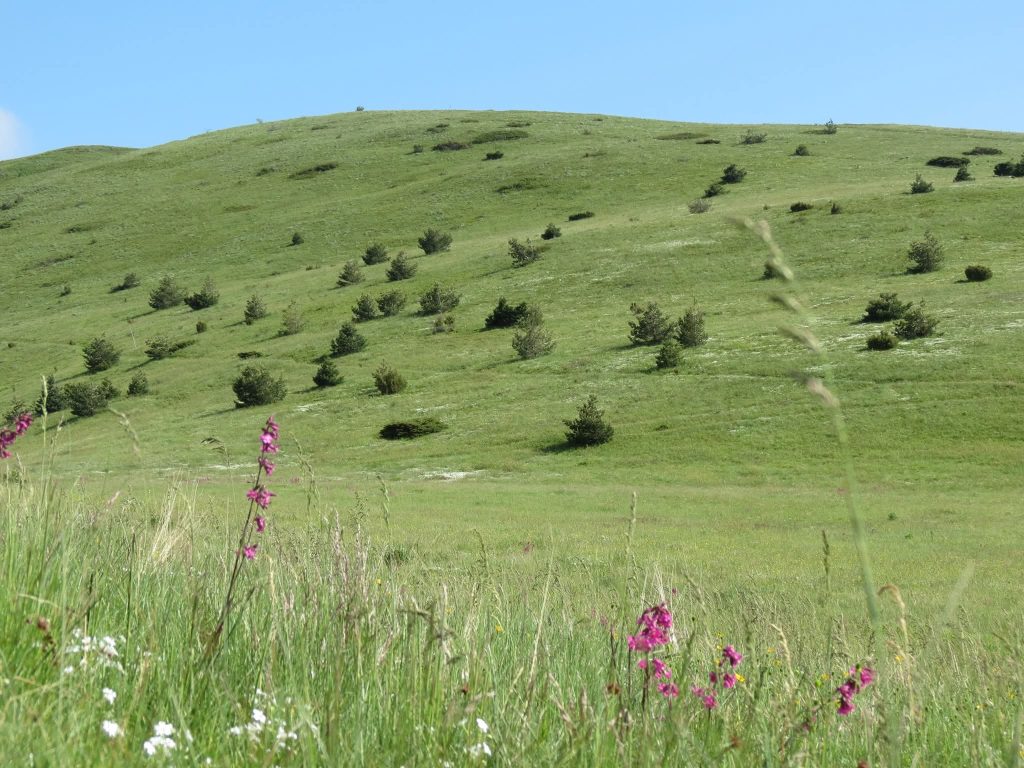 PEK Gora najavljuje akciju od 17. - 19. aprila 2026. godine sa usponom na planinu Ruj i Talambas.