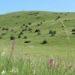 PEK Gora najavljuje akciju od 17. - 19. aprila 2026. godine sa usponom na planinu Ruj i Talambas.