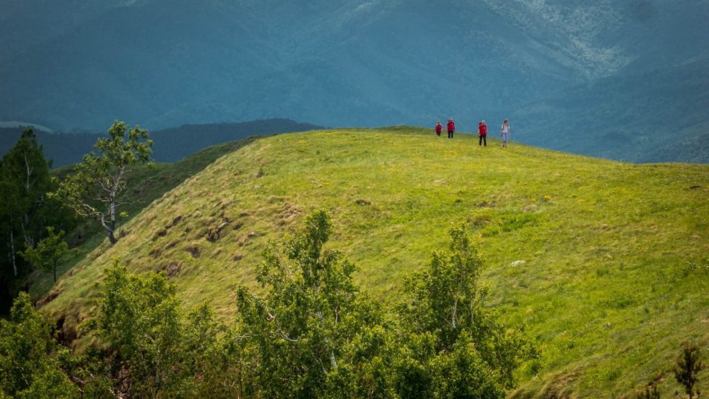 Fotografija nastala tokom prethodnih godina u okviru akcije „Narcisu u pohode“.