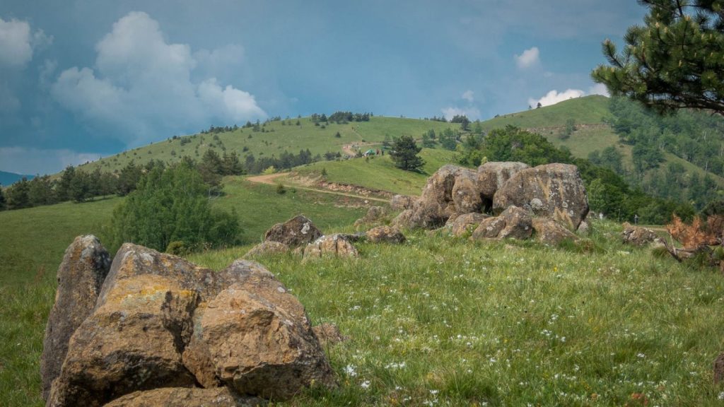PEK Gora najavljuje akciju ,,Narcisu u pohode" za sredu, 17.05.2026. godine.