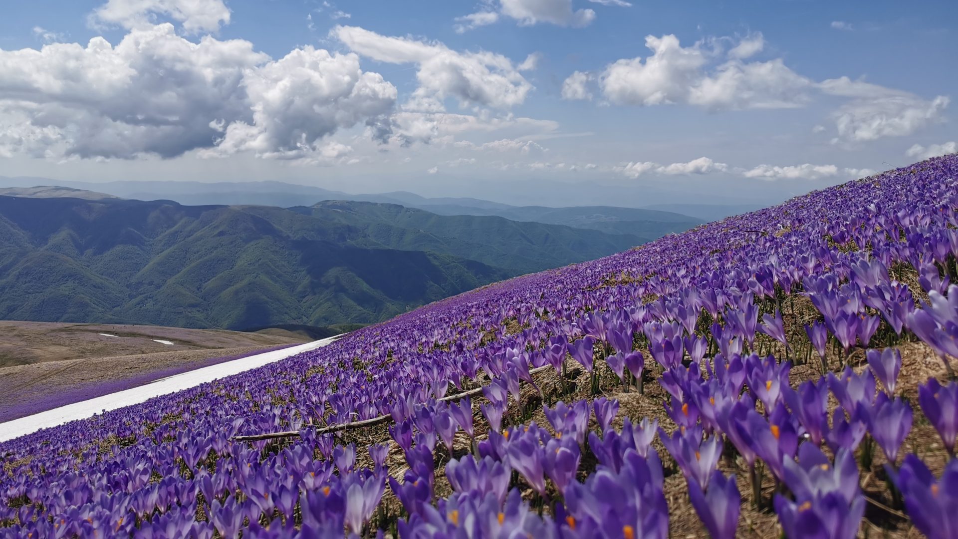 PEK Gora najavljuje akciju od 23.05 - 24.05. 2026. godine za Staru planinu.